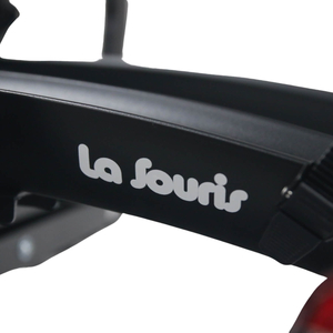 La Souris Fietsendrager voor Fatbikes