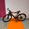 La Souris • Bird Bike A Black