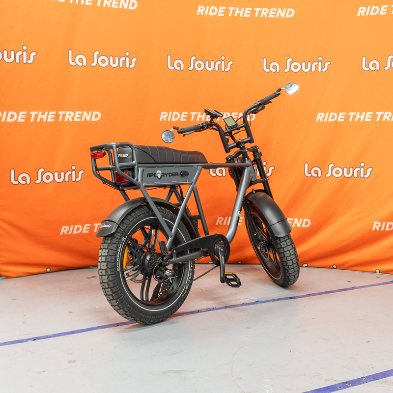 Ape Ryder A10 Grey Special Edition (4)