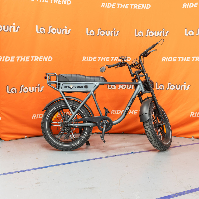 Ape Ryder A10 Grey Special Edition (3)