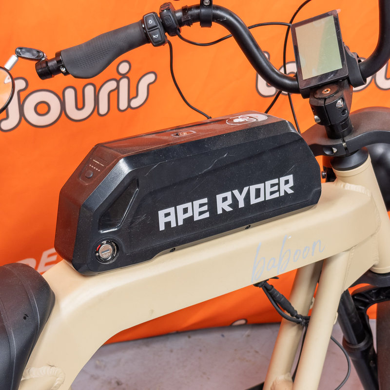 Ape Ryder V20 Baboon Desert Sand Special Edition (5)