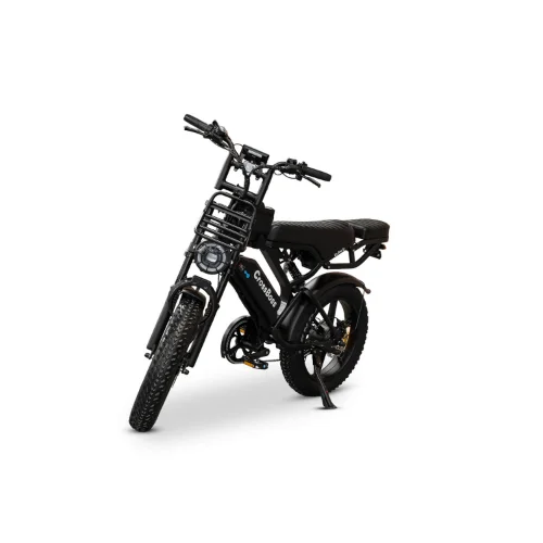 Fatbikes